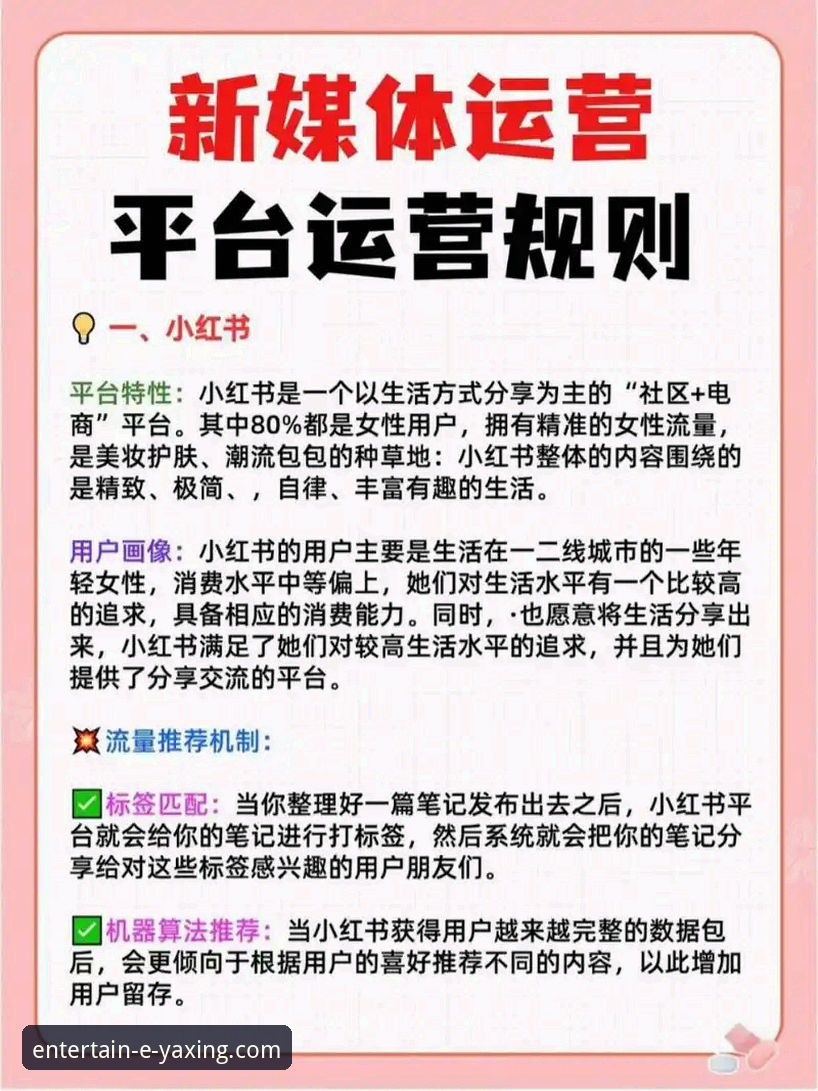 亚星娱乐平台使用教程详解